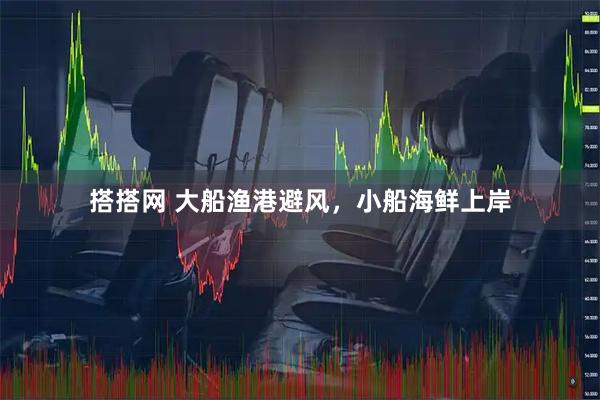 搭搭网 大船渔港避风，小船海鲜上岸