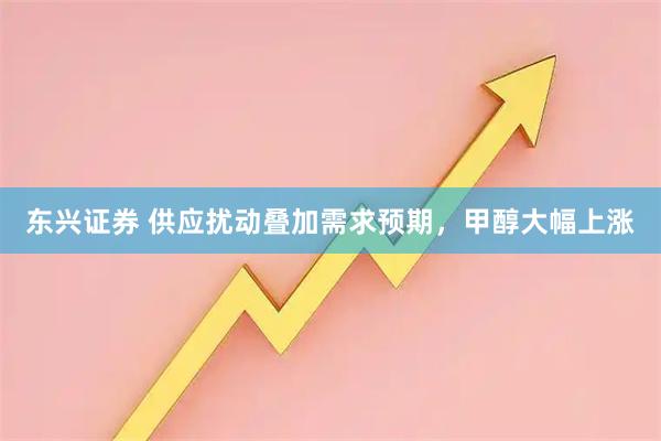 东兴证券 供应扰动叠加需求预期，甲醇大幅上涨