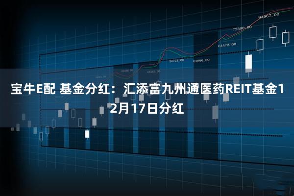 宝牛E配 基金分红：汇添富九州通医药REIT基金12月17日分红