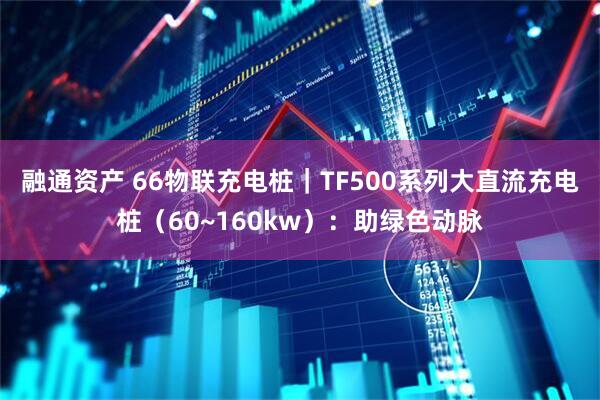 融通资产 66物联充电桩｜TF500系列大直流充电桩（60~160kw）：助绿色动脉