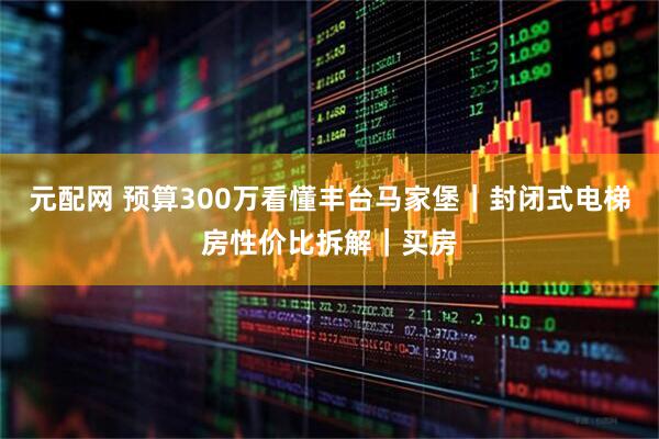 元配网 预算300万看懂丰台马家堡｜封闭式电梯房性价比拆解｜买房